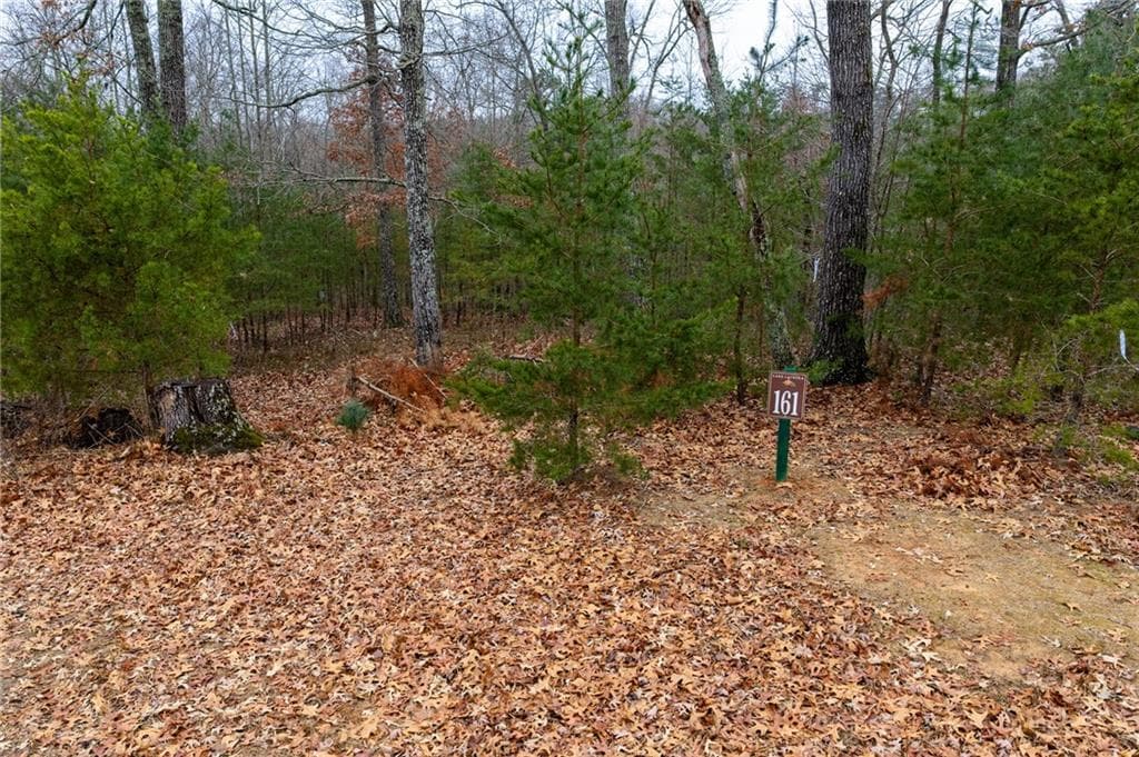 other sold at 161 Headwaters Court, Cleveland, GA 30528