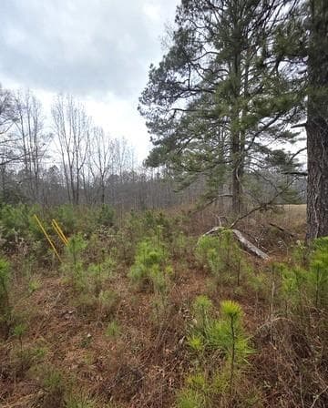 5534 Steadman Road, Tallapoosa, GA 30176 — most recent listing photo