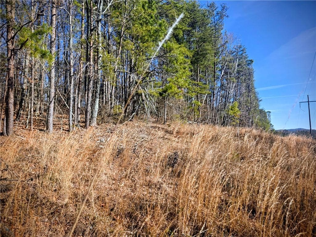 single family residence sold at TBD Cowart Mountain Tract 3 Road, Jasper, GA 30143