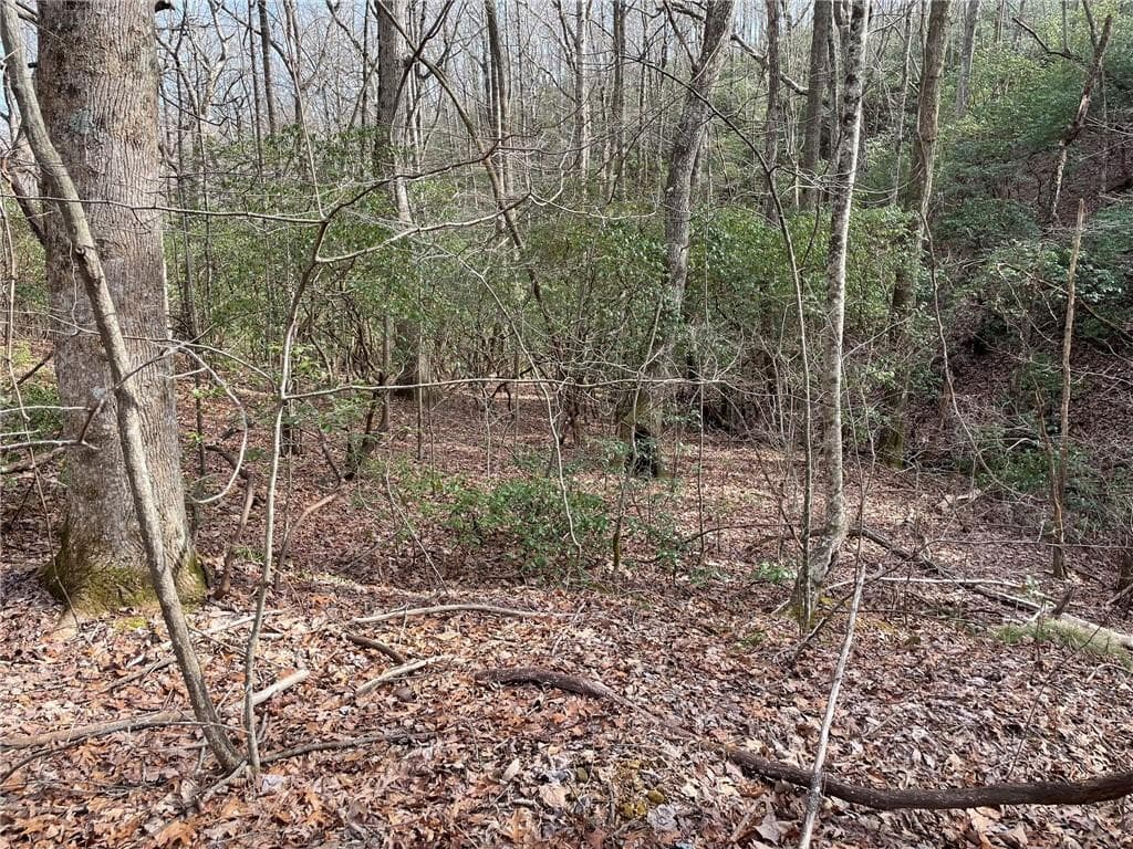 single family residence for sale at Lot 9F Renate Drive, Jasper, GA 30143
