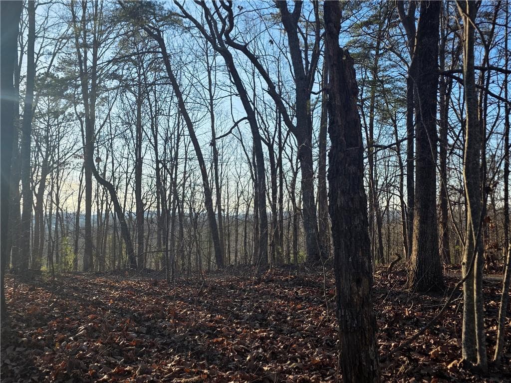 other sold at 0 CARTERS LAKE OVERLOOK, Ellijay, GA 30540