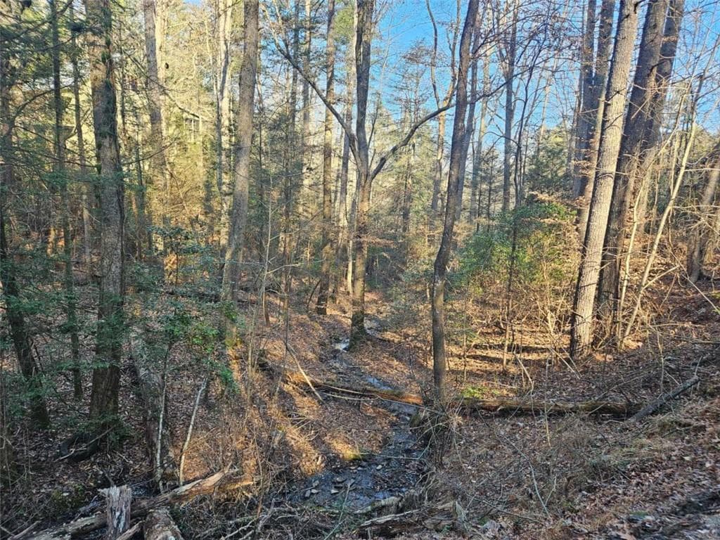 single family residence for sale at LT 162 Nexus Drive, Ellijay, GA 30540