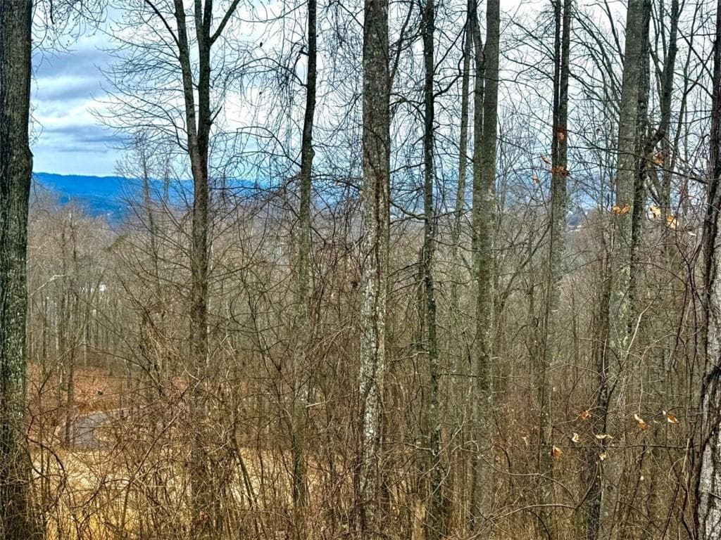 single family residence under contract at LOT 7 Rocky Knob Drive, Young Harris, GA 30582
