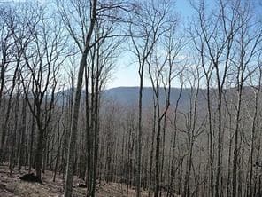 single family residence sold at 101 Deer Run, Big Canoe, GA 30143