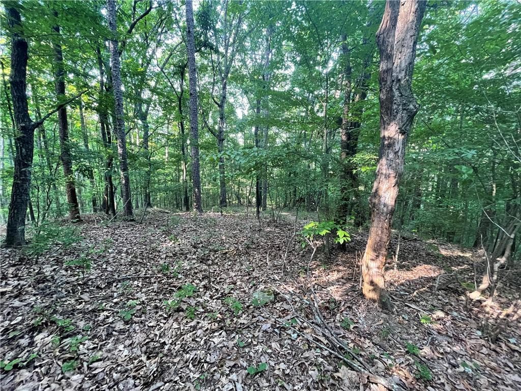 single family residence for sale at 860 Cloudland Trace, Chickamauga, GA 30707