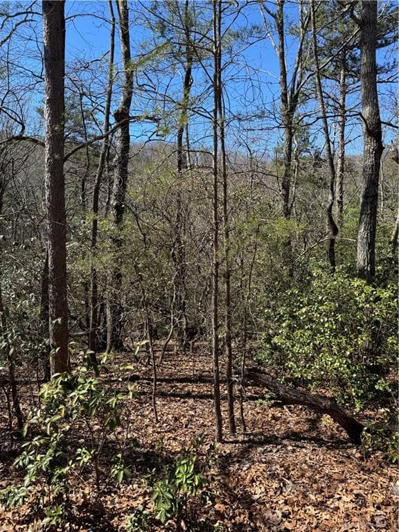 single family residence for sale at 5504 Red Fox Drive, Big Canoe, GA 30143