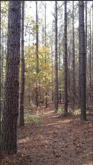 other for sale at 1047 Ponder Trammell Road, Juliette, GA 31046