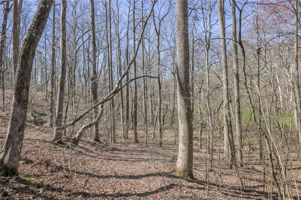 other sold at Lot 62 Cherokee Wood Hollow Dr, Ball Ground, GA 30107