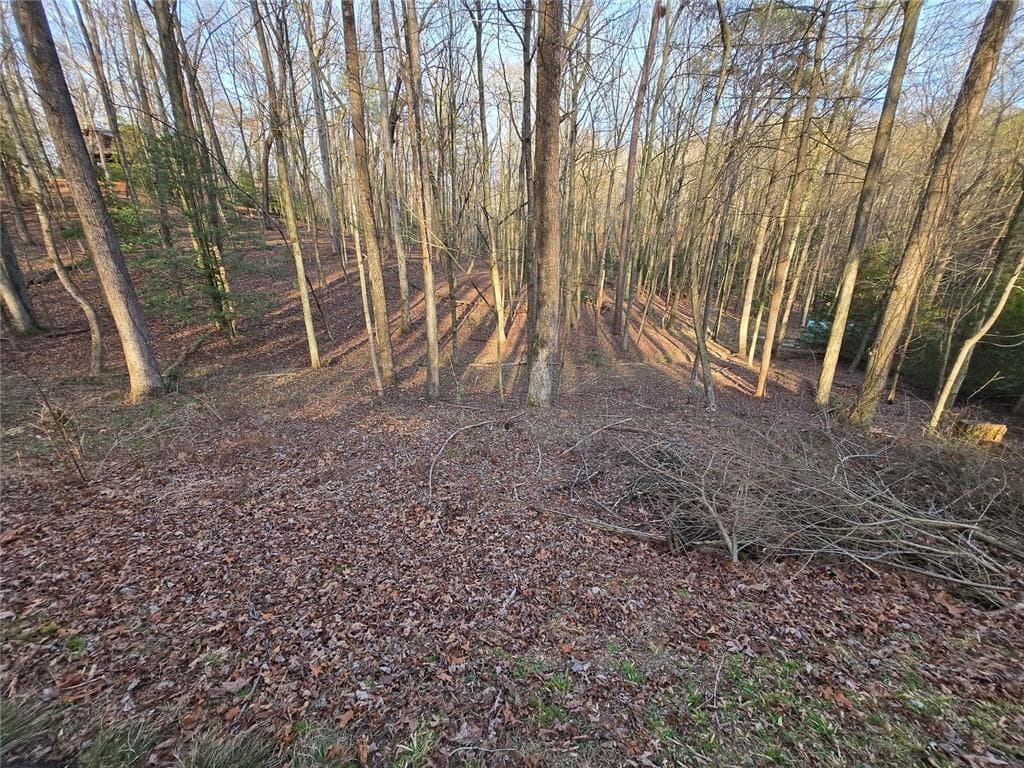 0 Chatawa Court, Ellijay, GA 30540 — most recent listing photo