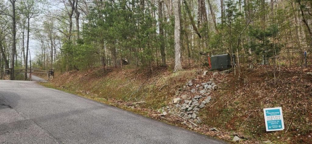 single family residence for sale at 0 Yellow Trillium (Lot 13), Clayton, GA 30525