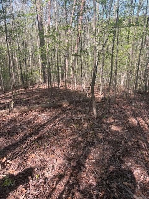 single family residence for sale at 0 Heatherwood Way, Talking Rock, GA 30175