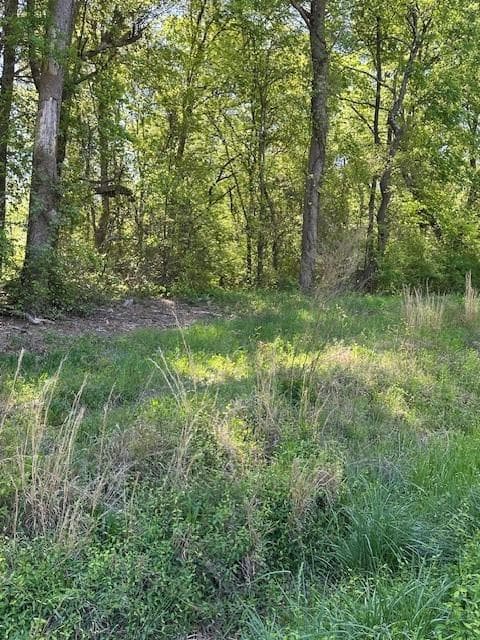 single family residence for sale at 815 AJ IRVIN Road, Talmo, GA 30575