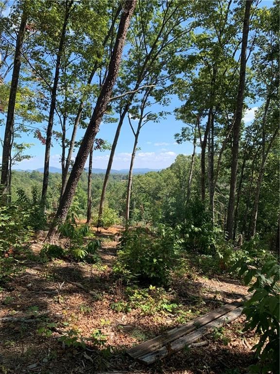 other sold at 0 White Oak Cir, Blue Ridge, GA 30513