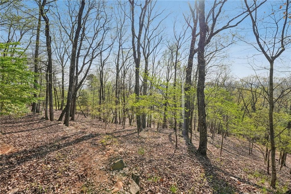 single family residence sold at 8240 Cox Mountain Drive, Big Canoe, GA 30143