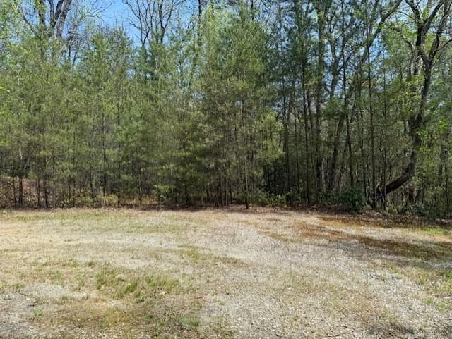 other for sale at Lot 5 Marjorie Ave, Ellijay, GA 30536