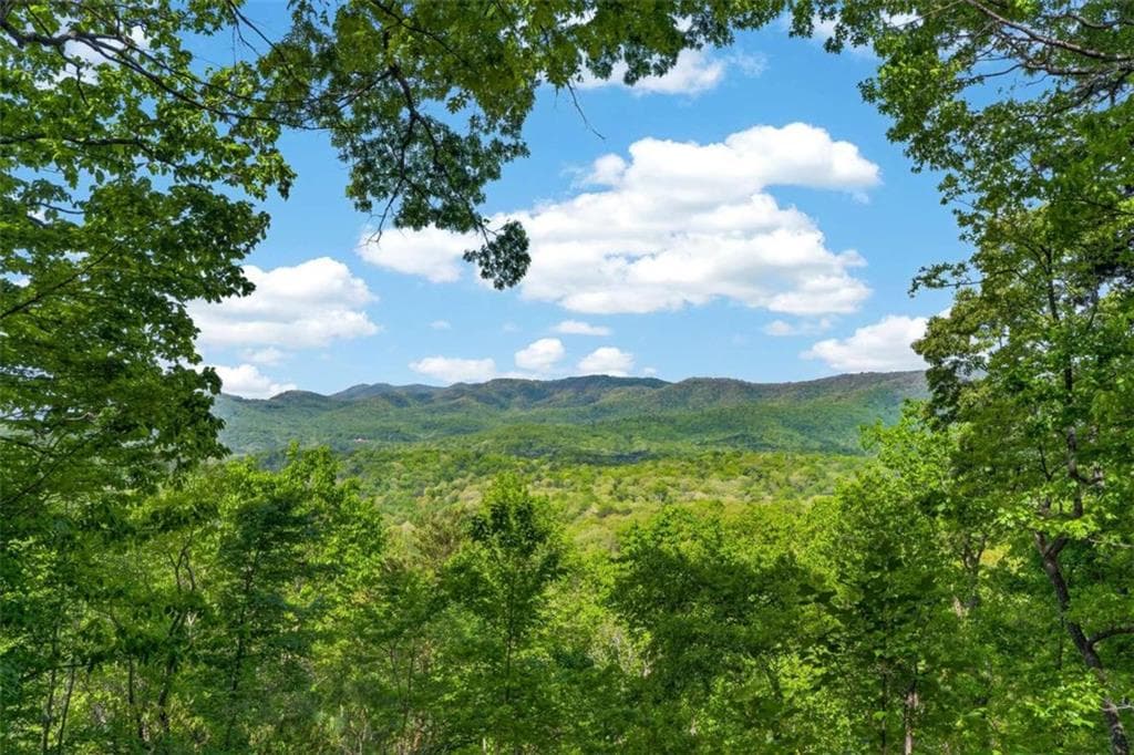 2 bedroom, 1 bathroom, 672 sq ft single family residence sold at 532 Cohutta Mountain Road, Blue Ridge, GA 30513