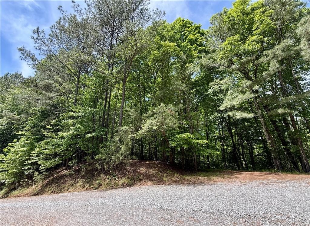 single family residence sold at 0 Nectar Lane, Ellijay, GA 30540