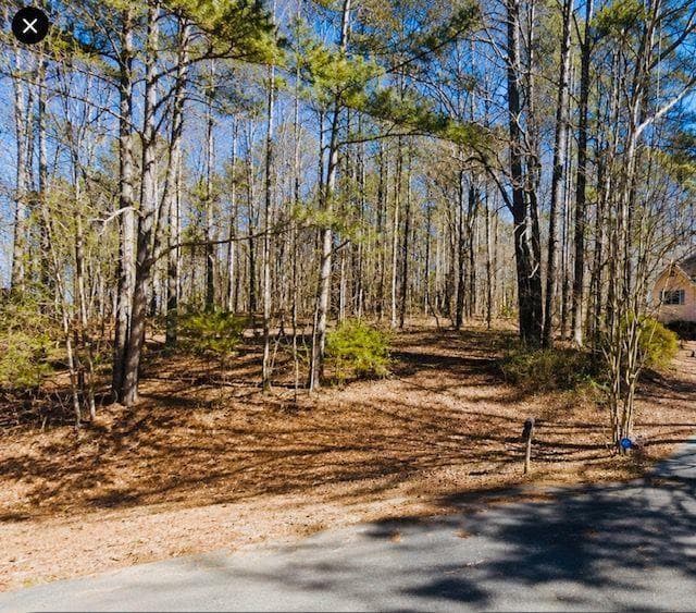 single family residence sold at 110 Bunnie Trail, Ellenwood, GA 30294