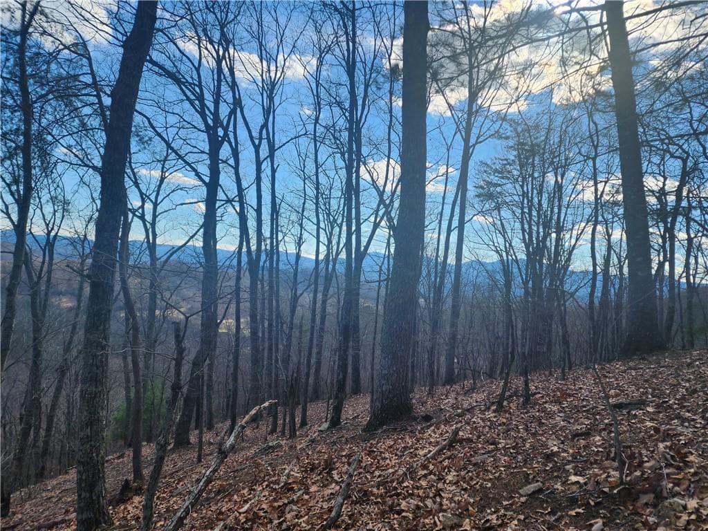 unimproved land for sale at 0 Trackrock Gap Road, Blairsville, GA 30514