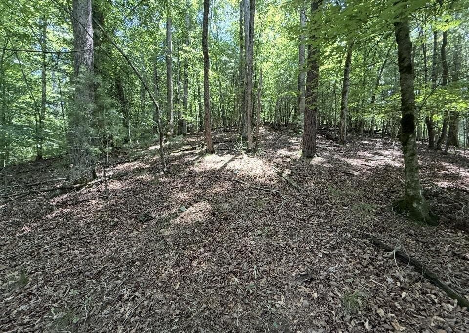 single family residence sold at LT2607 Magnet Court, Ellijay, GA 30540