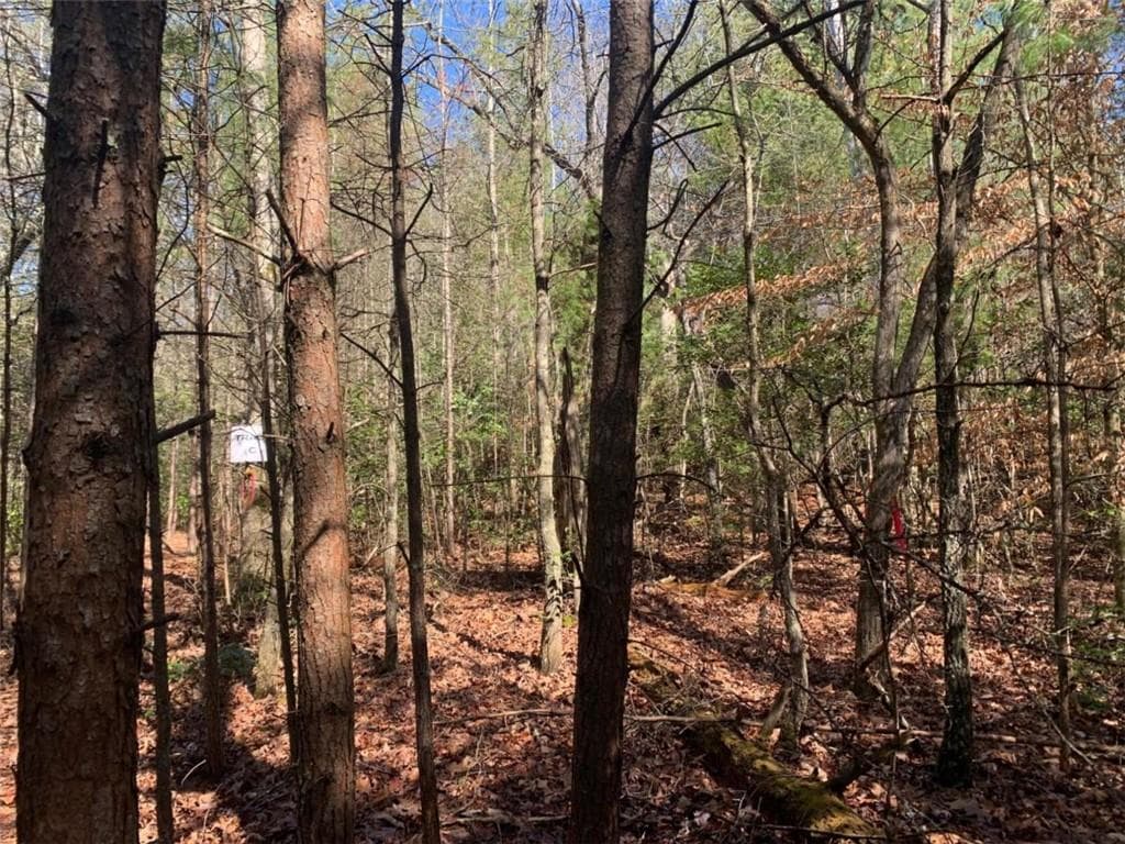 single family residence for sale at 0 East New Hope Road, Ellijay, GA 30536