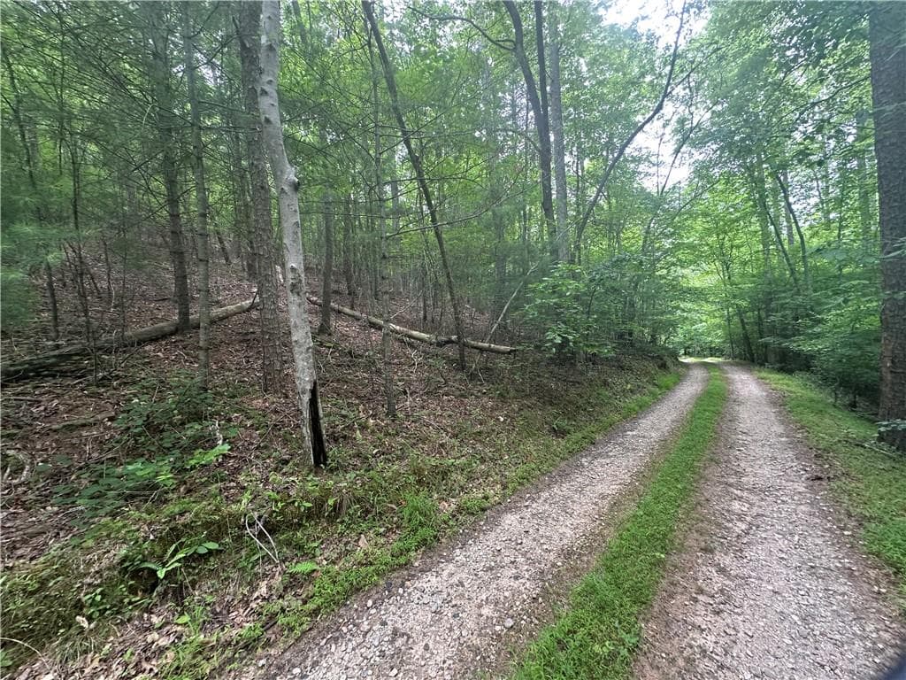 single family residence for sale at TRACT1 New Bethel Ch Road, Dawsonville, GA 30534