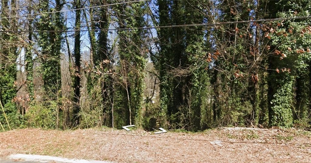 other for sale at 0 Brookside Drive, Forest Park, GA 30297