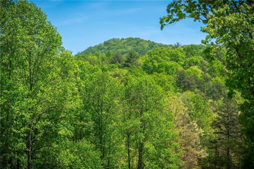 single family residence for sale at LT4-4a Waterstone Way, Mineral Bluff, GA 30559
