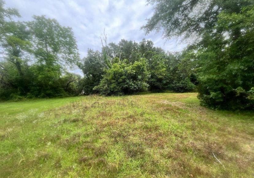 single family residence for sale at 1318 E Roosevelt Avenue, Albany, GA 31705