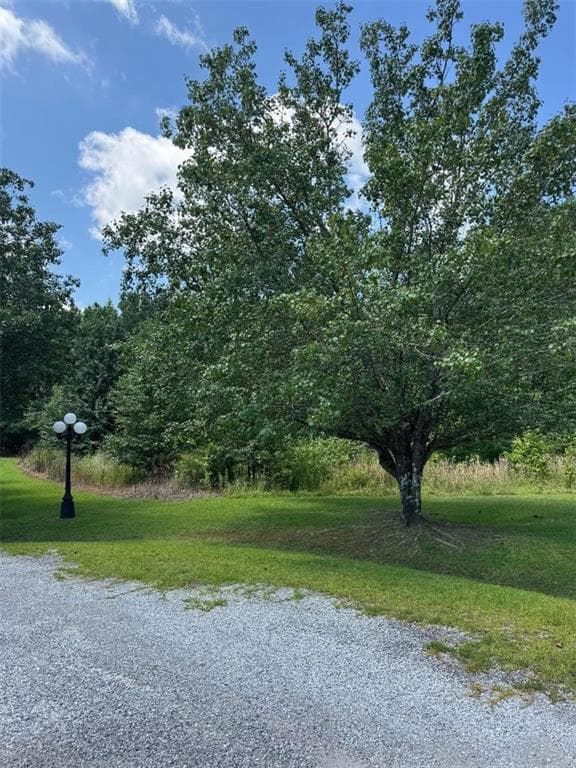 other for sale at 155 County Road 424, Centre, AL 35960