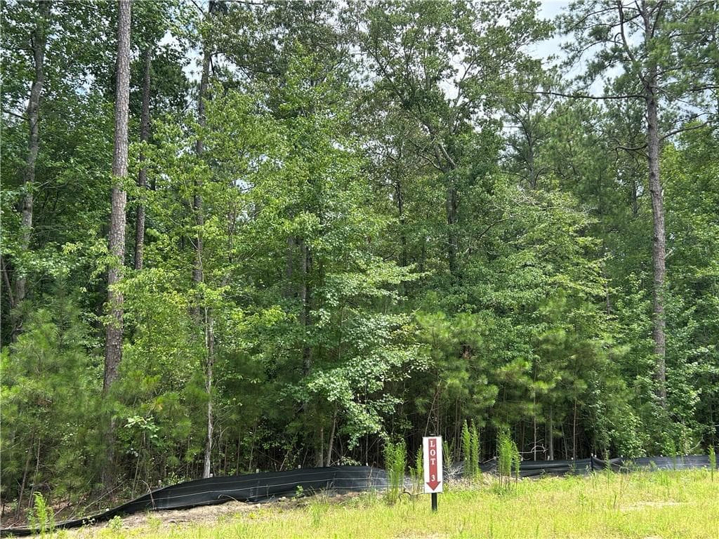 unimproved land for sale at 0 Hamilton Road, Chattahoochee Hills, GA 30268