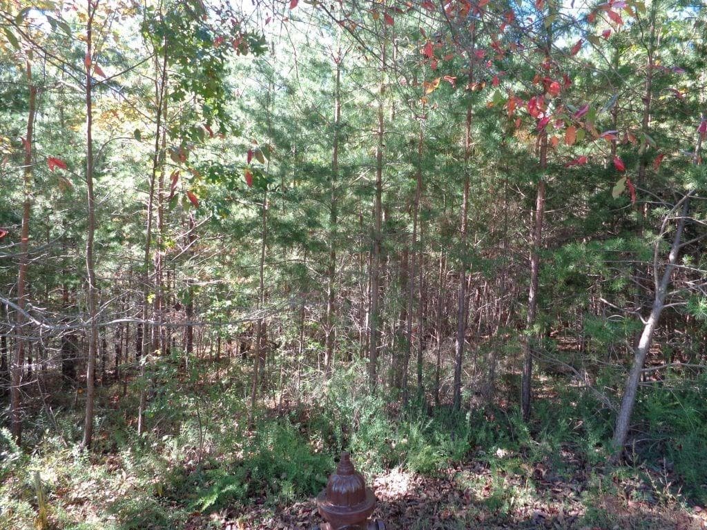 single family residence for sale at 2474 Wedgewood Drive, Big Canoe, GA 30143
