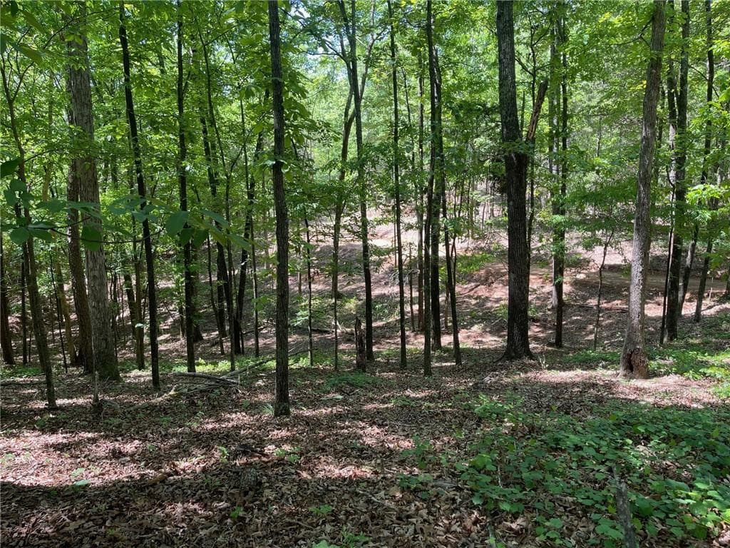 single family residence for sale at TR 3 Chalcrest Way, Cave Spring, GA 30124