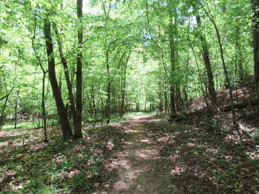 single family residence for sale at 0 Chestatee Drive, Dahlonega, GA 30533