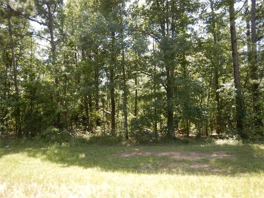 other for sale at 2771 Carey Station Rd Street, Greensboro, GA 30043