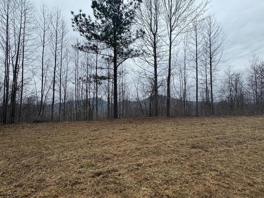 single family residence for sale at Lot 10 Chatuge Manor, Young Harris, GA 30582