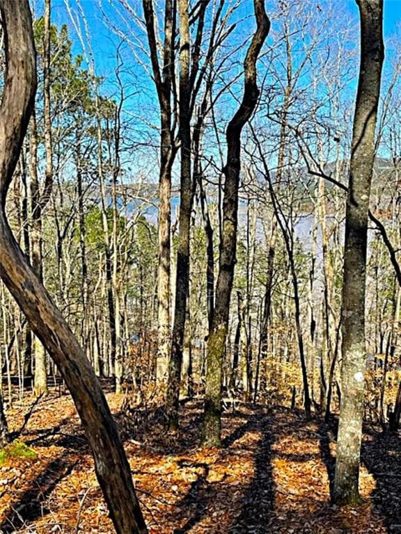 single family residence for sale at 0 Overlook Drive, Chatsworth, GA 30705