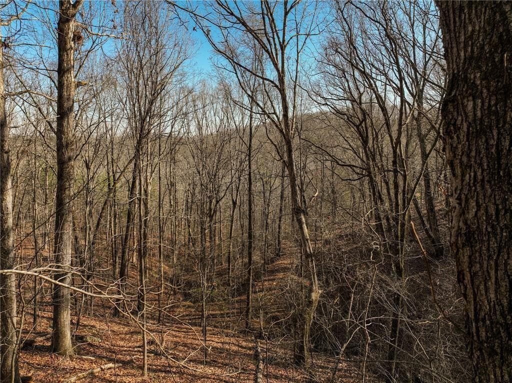 single family residence for sale at Lot 10 Mount Mincie Road, Murrayville, GA 30564