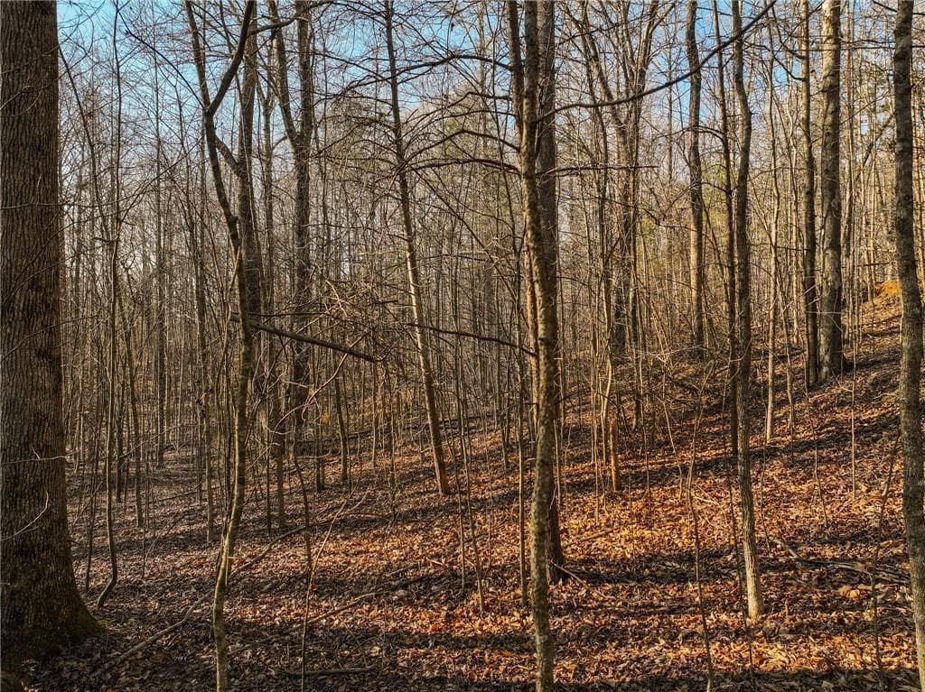 single family residence for sale at Lot 12 Mount Mincie Road, Murrayville, GA 30564