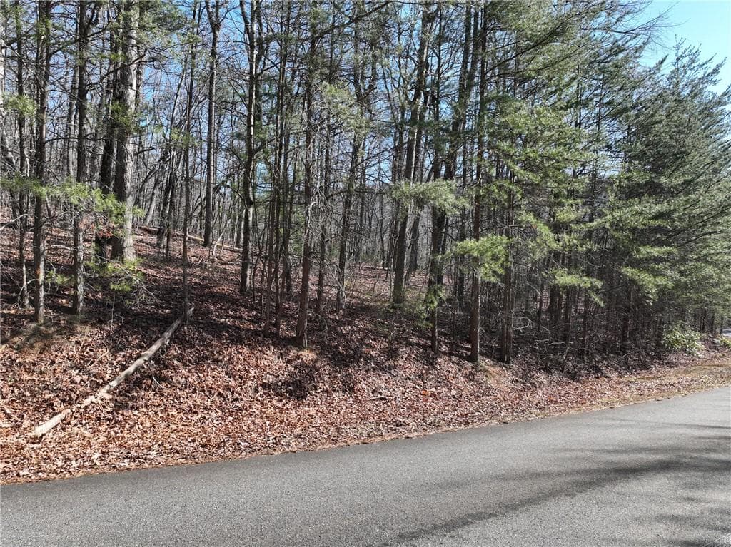 single family residence for sale at 58 Saint Andrews Way, Ellijay, GA 30536