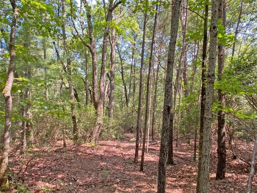 unimproved land for sale at 10.59 AC, T S Jarrard Road, Dahlonega, GA 30533