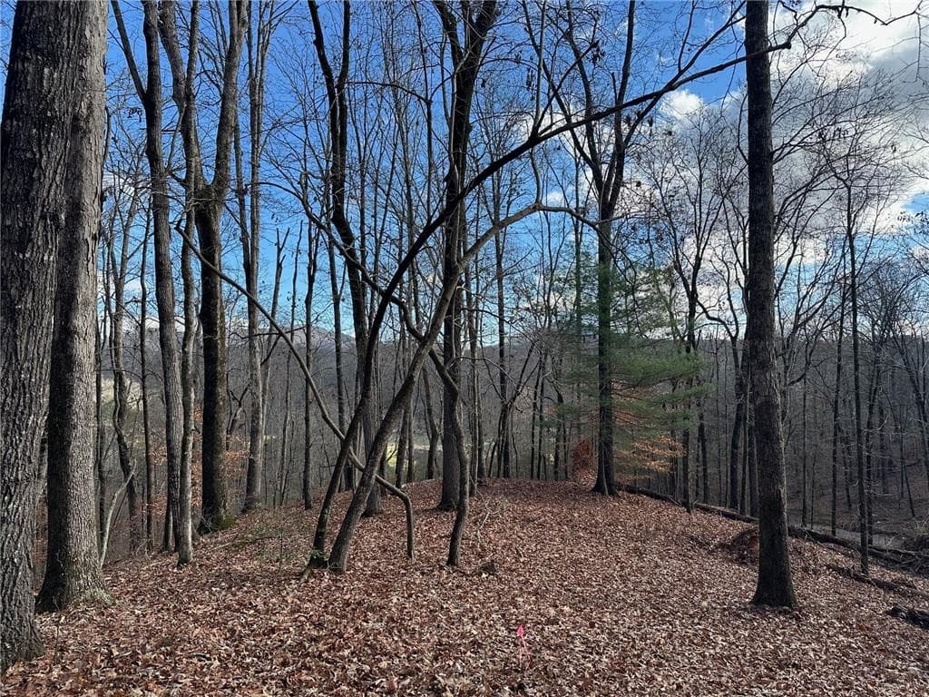 single family residence for sale at 200 Mincey Acres Drive, Murrayville, GA 30564