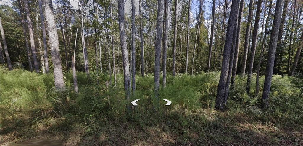 single family residence for sale at 0 Holly Road TRACT 3, Bowdon, GA 30108