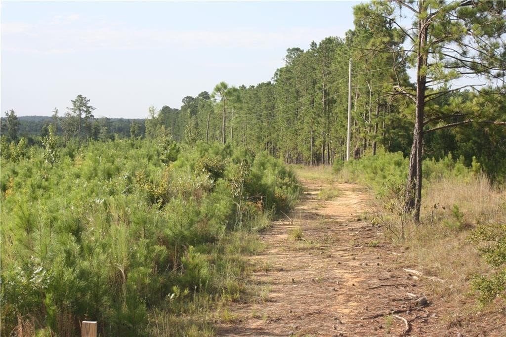 unimproved land for sale at 0 Balerma Church Road, Sparta, GA 31087