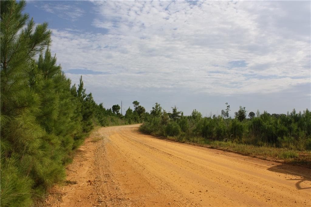 unimproved land for sale at 0 Balerma Church Road, Sparta, GA 31087