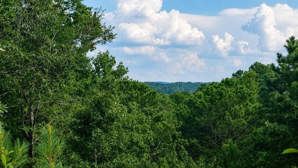 unimproved land for sale at 0 Shallow Water Way, Talking Rock, GA 30175