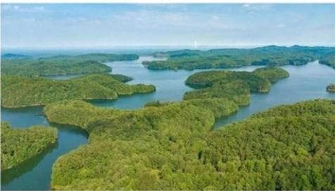 other for sale at 0 Carter View Drive, Ellijay, GA 30540