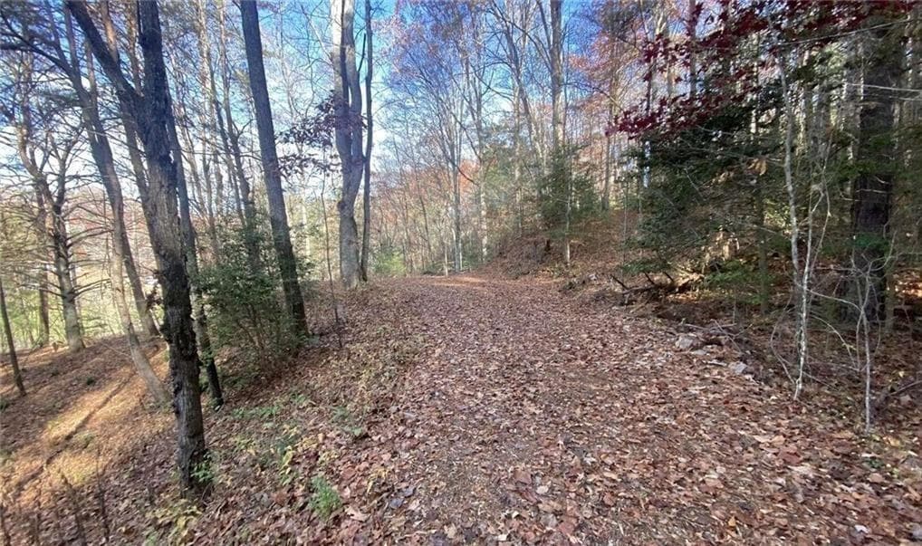 single family residence for sale at 1 BAREFOOT HILLS, Hiawassee, GA 30546