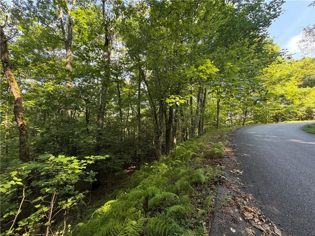 single family residence for sale at 5 Mill Ridge Road, Hiawassee, GA 30546