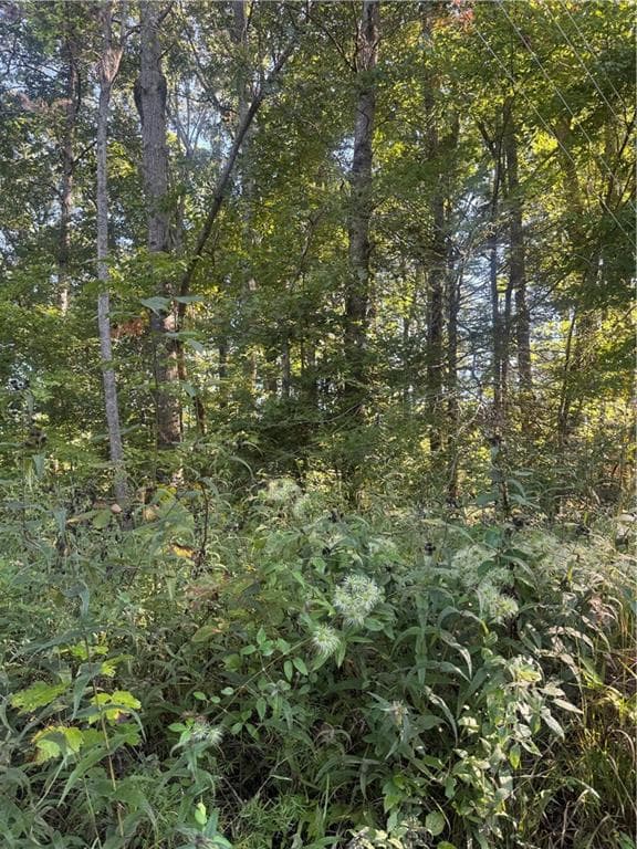 single family residence under contract at Lot 3 Roberts Ridge Road, Ellijay, GA 30540
